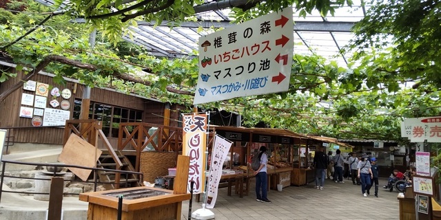 レジャー農園.jpg